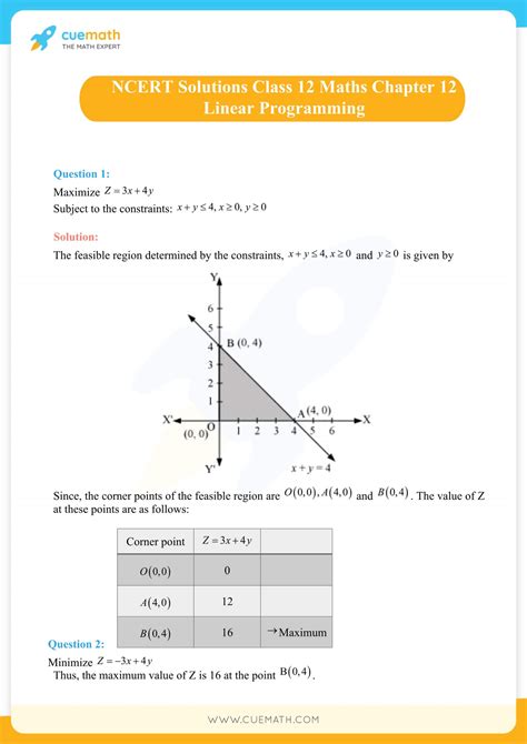 Term Paper On Linear Programming
