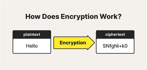 terminal Word on These Types of encryption
