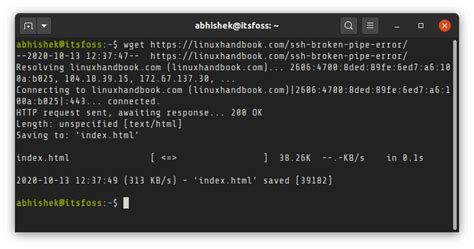 Terminal Command Download File From Server