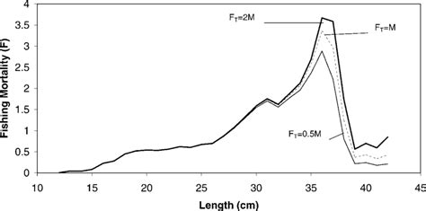 Terminal Fishing Mortality