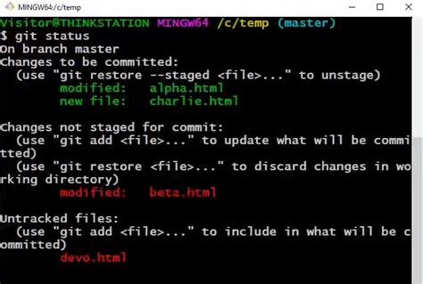 Terminal Git Discard Changes