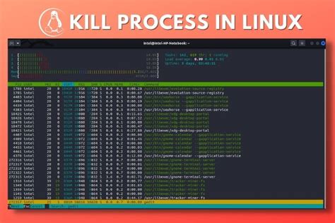 Terminal Kill Process Linux