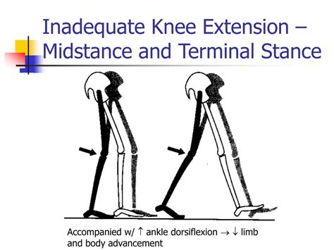 terminal knee extension in gait