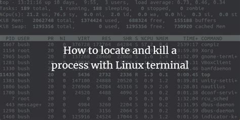 Terminal Linux Kill