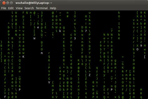 Terminal Linux Matrix