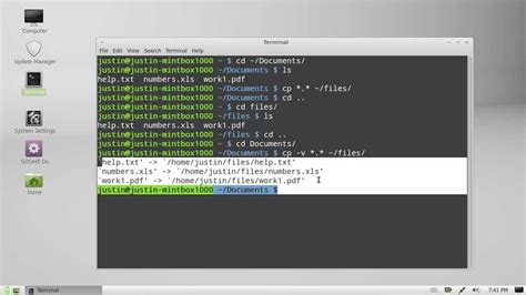 Terminal Linux Mint Version