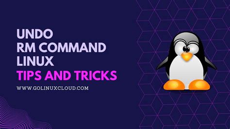 Terminal Linux Undo Rm