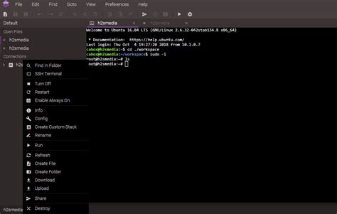 Terminal Linux Virtual