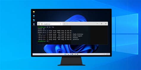 Terminal Linux Windows