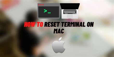 Terminal Mac Reset