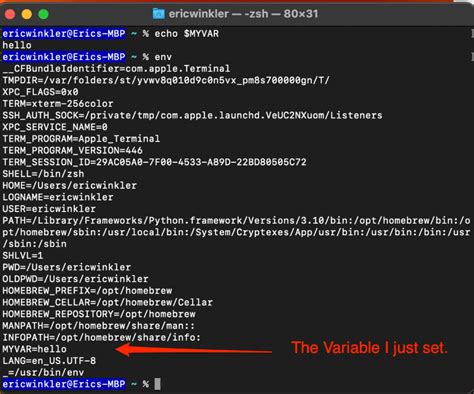 Terminal Set A Variable