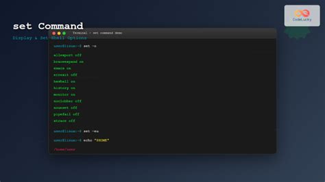Terminal Set Command