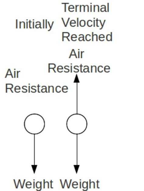 Terminal Velocity Fbd