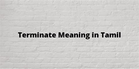 terminate meaning in tamil with example