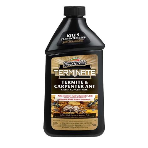 termite concentrate
