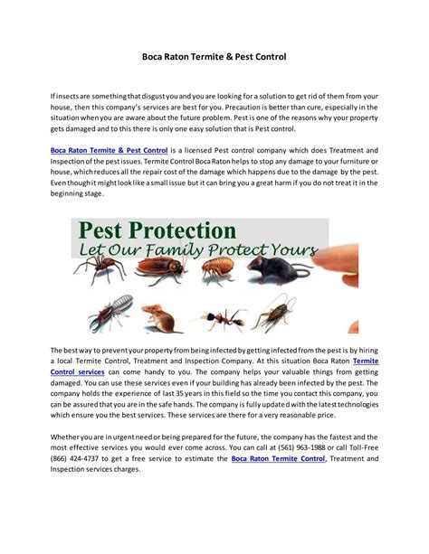 Discover 8 Compelling Insights about Termite Control in Boca Raton