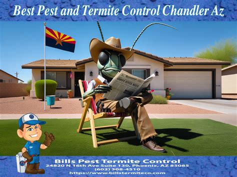 termite control chandler az