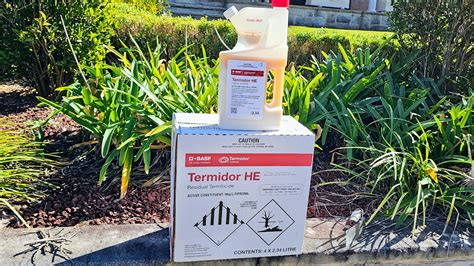 Discover 8 Insights termite control Juno Beach you must know