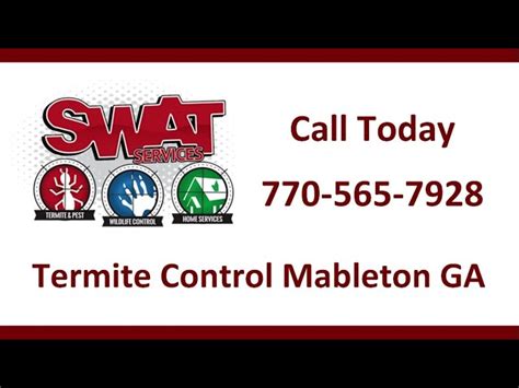 10 Definitive Insights into Understanding Termite Control in Mableton