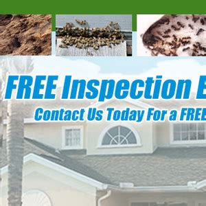 Learn 9 Details termite control oldsmar Uncover Secrets To Eradicate Pests Fast