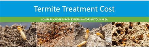 termite control treatment cost