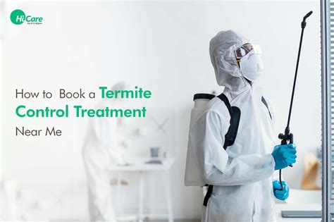 termite prevention treatment near me cost