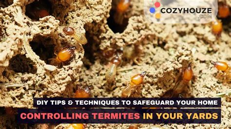 Discover 8 Insights termites in yard Your Yard's Hidden Threat