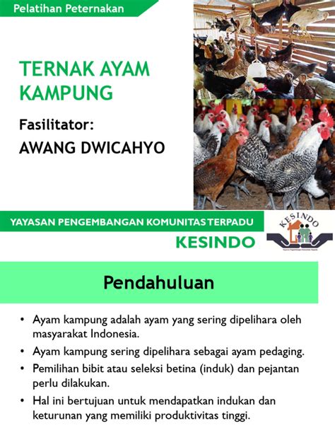 Contoh Proposal Ternak Ayam Pdf