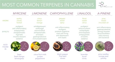 Terpenes...What is a terpene? Green Wellness Life
