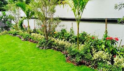 Terrace Garden Plants In Bangalore