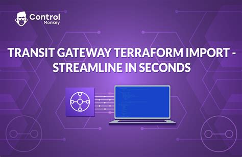 terraform import aws_ec2_transit_gateway_vpc_attachment