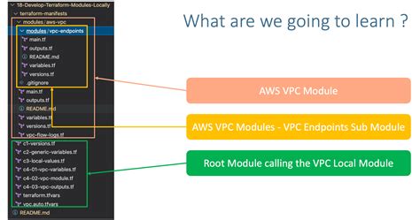terraform use local module source