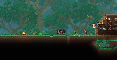 terraria wiki calamity guide for beginners