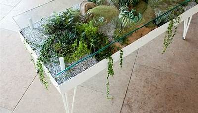 Terrarium Diy Succulent Coffee Tables