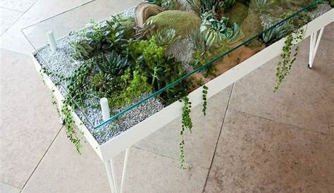 Terrarium Diy Succulent Coffee Tables