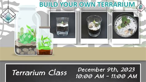 Terrarium Class Edmonton