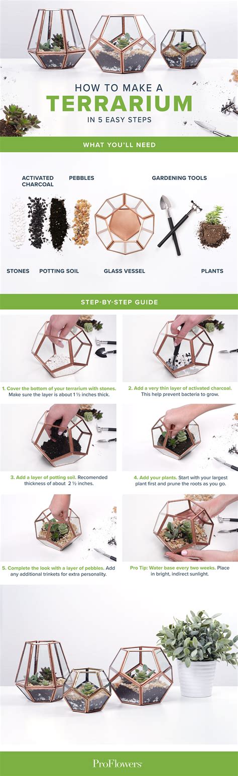 Terrarium Diy Instructions