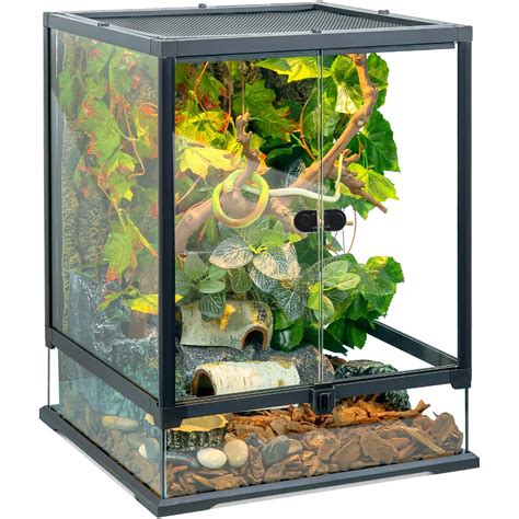 Terrarium For Leopard Frogs