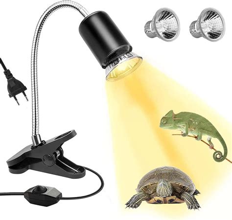 Terrarium Lamp Amazon