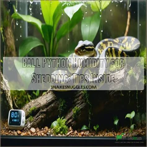 Terrarium Python Humidity