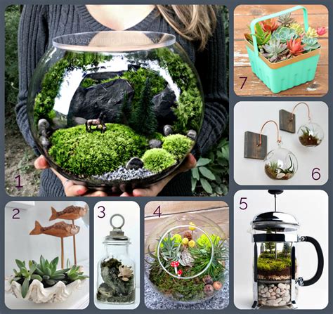 Terrariums Unique