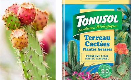 Terreau spécial cactus et plantes grasses Bio 5L, vente
