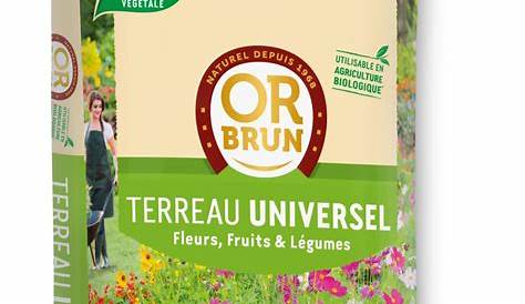 Terreau Or Brun Universel BioPratique 20L