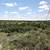 terrell tx land for sale