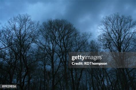 The Best Terror In The Trees Popular