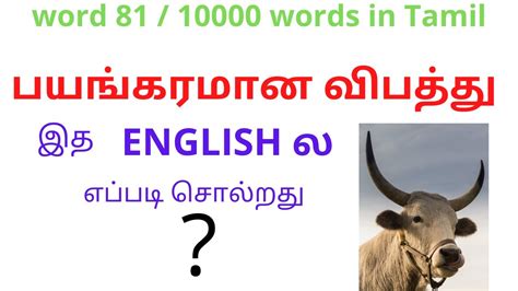 terror meaning in tamil with example