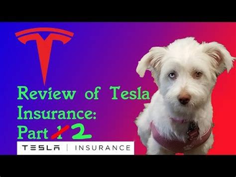 tesla insurance review reddit