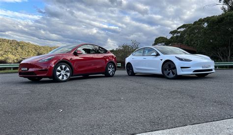 tesla model 3 vs model y