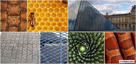 tessellation pattern examples in real life