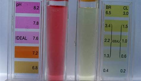 Aquachek TruTest (testeur numérique de chlore et de pH